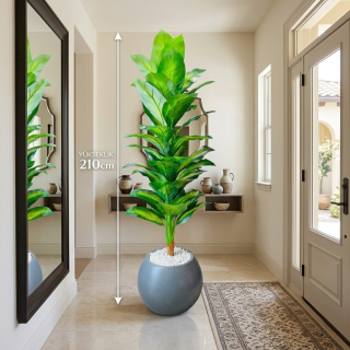 PLASTİK KÜRE3 SAKSILI 6215 DİFENBAHYA-39YAPRAK-210CM
