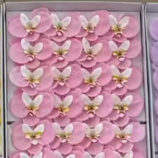   SABUN ORKİDE-36LI-8CM-ŞEKER PEMBE
