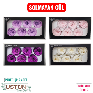 SOLMAYAN GÜL- NO2-6 ADET