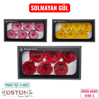 SOLMAYAN GÜL- NO3-6 ADET