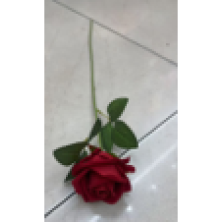 TEK GÜL